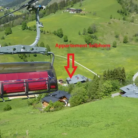 Penthouse An Skipiste Mit Hochkoenigcard Skiin Skiout *